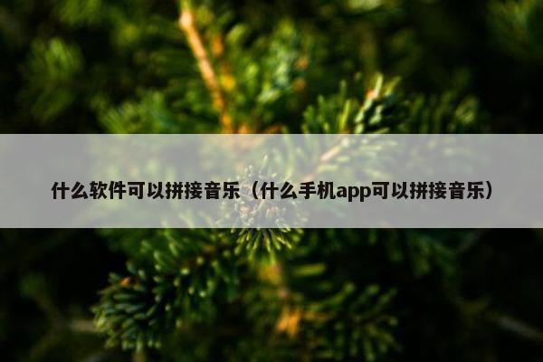 什么软件可以拼接音乐（什么手机app可以拼接音乐）