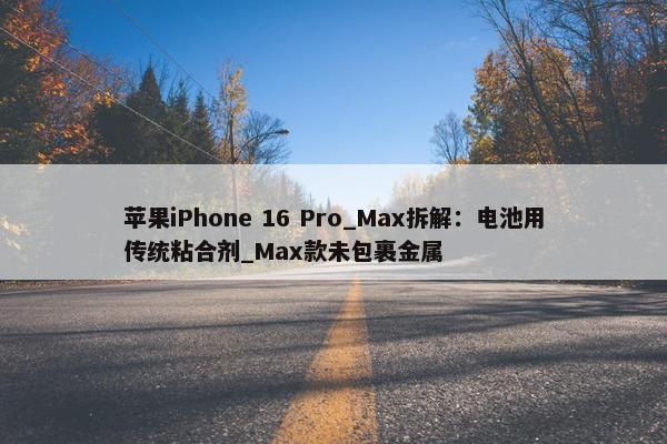 苹果iPhone 16 Pro_Max拆解：电池用传统粘合剂_Max款未包裹金属