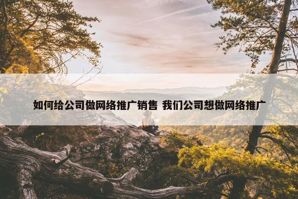 如何给公司做网络推广销售 我们公司想做网络推广