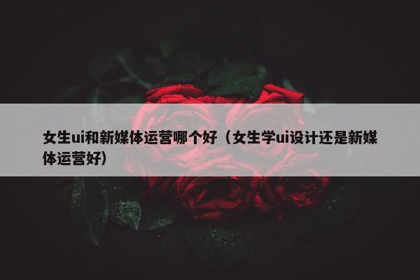 女生ui和新媒体运营哪个好（女生学ui设计还是新媒体运营好）