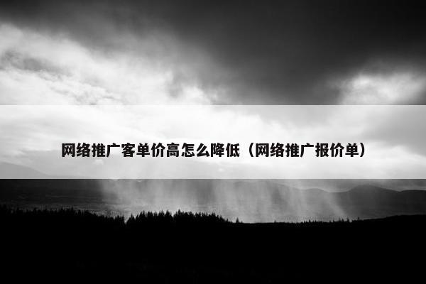 网络推广客单价高怎么降低（网络推广报价单）