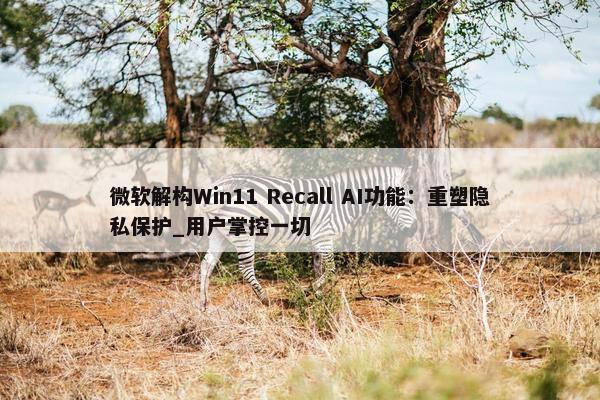 微软解构Win11 Recall AI功能：重塑隐私保护_用户掌控一切