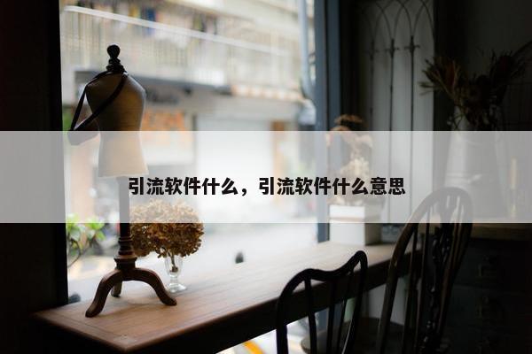 引流软件什么，引流软件什么意思