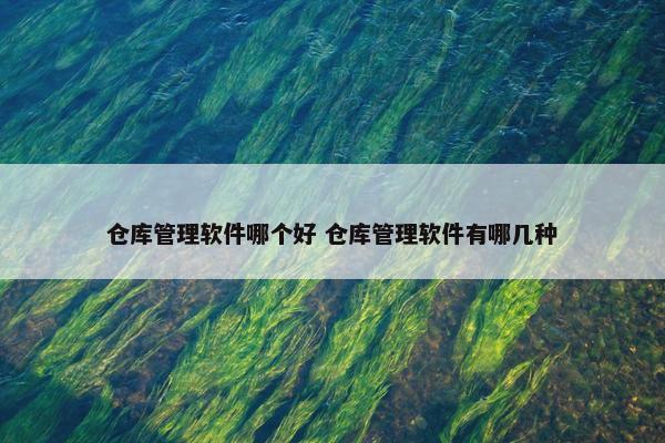 仓库管理软件哪个好 仓库管理软件有哪几种