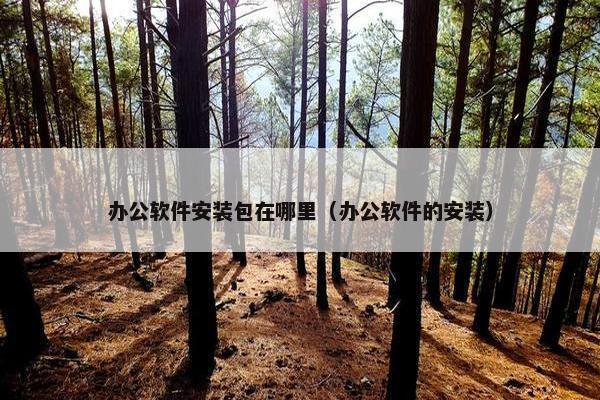 办公软件安装包在哪里（办公软件的安装）