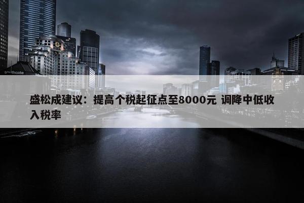 盛松成建议：提高个税起征点至8000元 调降中低收入税率