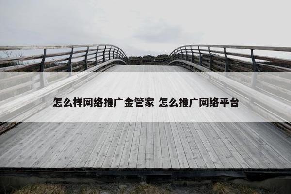 怎么样网络推广金管家 怎么推广网络平台