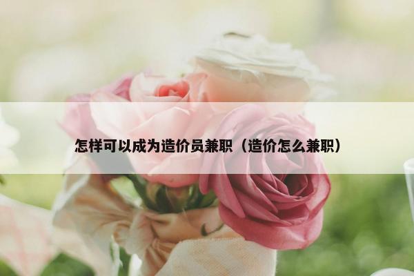 怎样可以成为造价员兼职（造价怎么兼职）