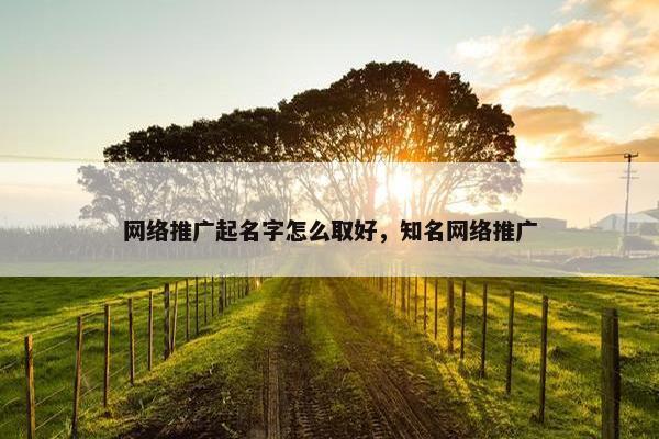 网络推广起名字怎么取好，知名网络推广