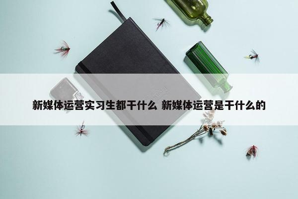 新媒体运营实习生都干什么 新媒体运营是干什么的