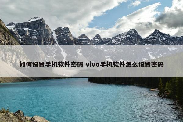 如何设置手机软件密码 vivo手机软件怎么设置密码