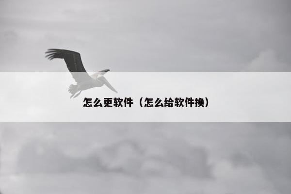 怎么更软件（怎么给软件换）