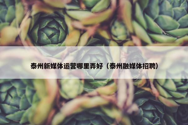 泰州新媒体运营哪里弄好（泰州融媒体招聘）