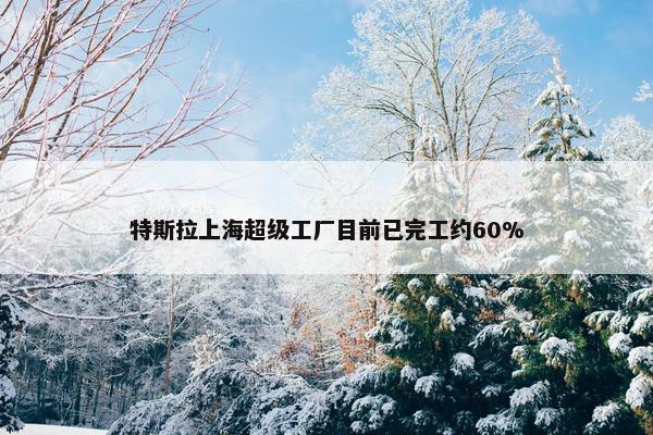 特斯拉上海超级工厂目前已完工约60%