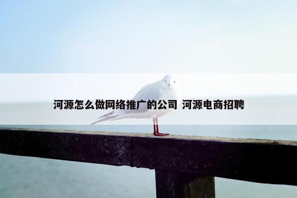 河源怎么做网络推广的公司 河源电商招聘