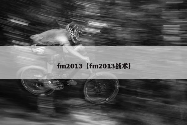 fm2013（fm2013战术）