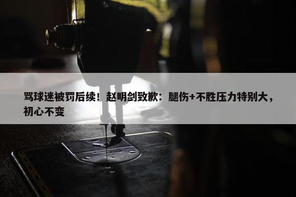 骂球迷被罚后续！赵明剑致歉：腿伤+不胜压力特别大，初心不变