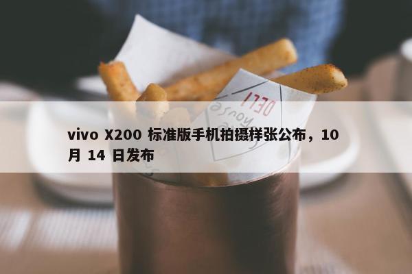 vivo X200 标准版手机拍摄样张公布，10 月 14 日发布