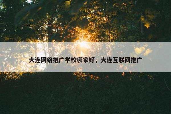 大连网络推广学校哪家好，大连互联网推广