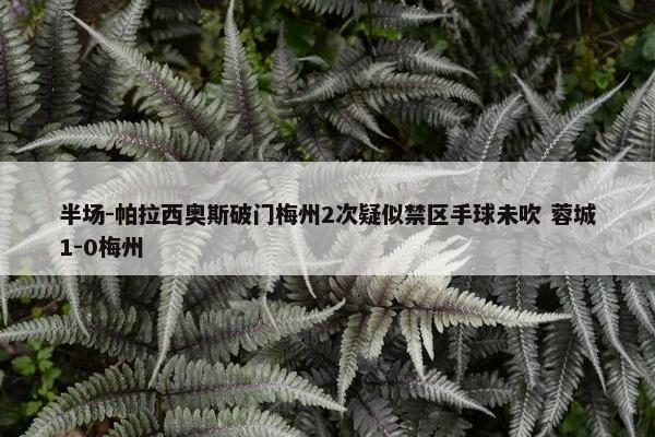 半场-帕拉西奥斯破门梅州2次疑似禁区手球未吹 蓉城1-0梅州