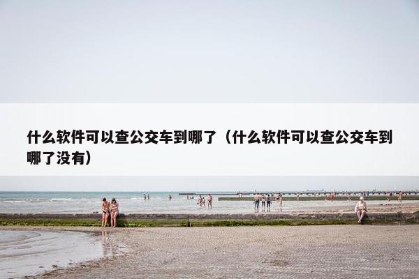 什么软件可以查公交车到哪了（什么软件可以查公交车到哪了没有）