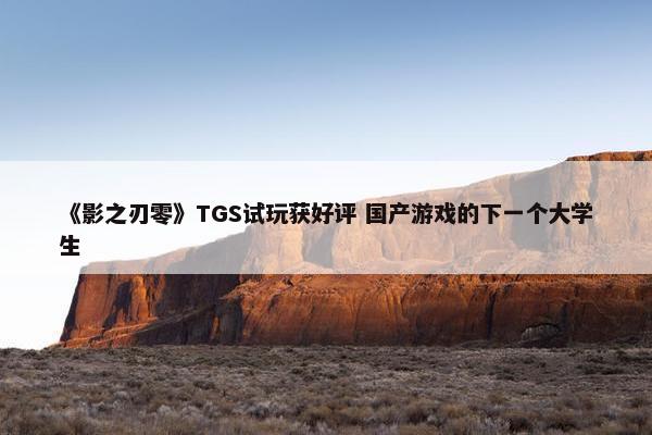 《影之刃零》TGS试玩获好评 国产游戏的下一个大学生