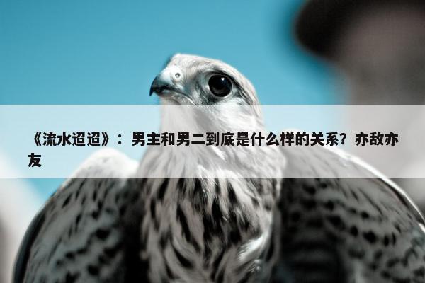 《流水迢迢》：男主和男二到底是什么样的关系？亦敌亦友