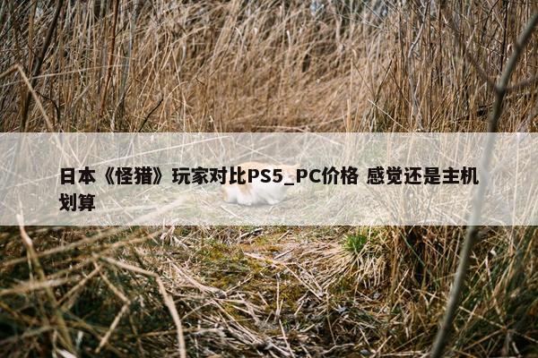 日本《怪猎》玩家对比PS5_PC价格 感觉还是主机划算