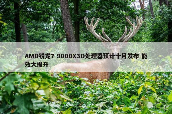 AMD锐龙7 9000X3D处理器预计十月发布 能效大提升