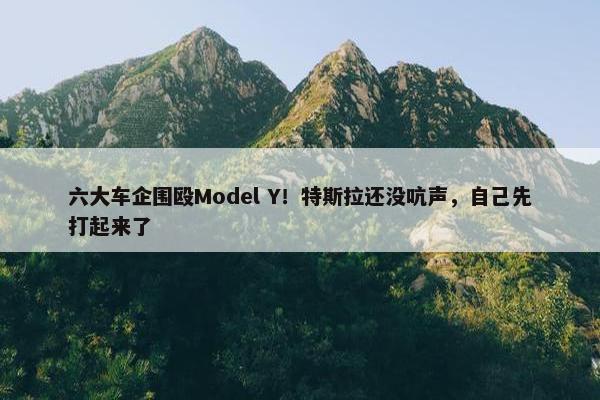 六大车企围殴Model Y！特斯拉还没吭声，自己先打起来了