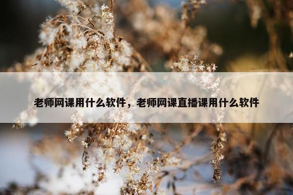 老师网课用什么软件，老师网课直播课用什么软件