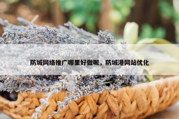 防城网络推广哪里好做呢，防城港网站优化