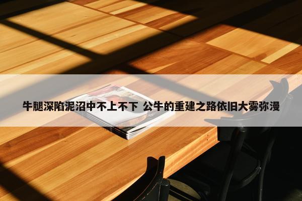 牛腿深陷泥沼中不上不下 公牛的重建之路依旧大雾弥漫