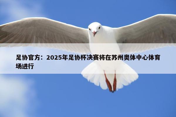 足协官方：2025年足协杯决赛将在苏州奥体中心体育场进行