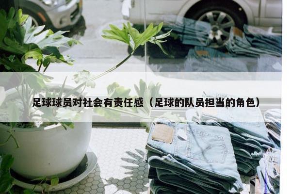 足球球员对社会有责任感（足球的队员担当的角色）