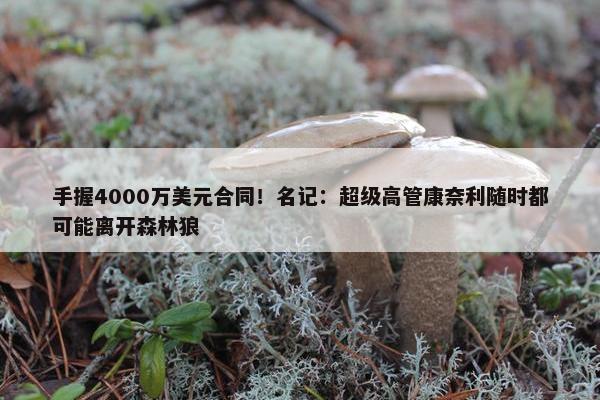 手握4000万美元合同！名记：超级高管康奈利随时都可能离开森林狼