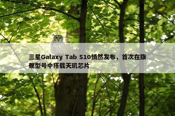 三星Galaxy Tab S10悄然发布，首次在旗舰型号中搭载天玑芯片