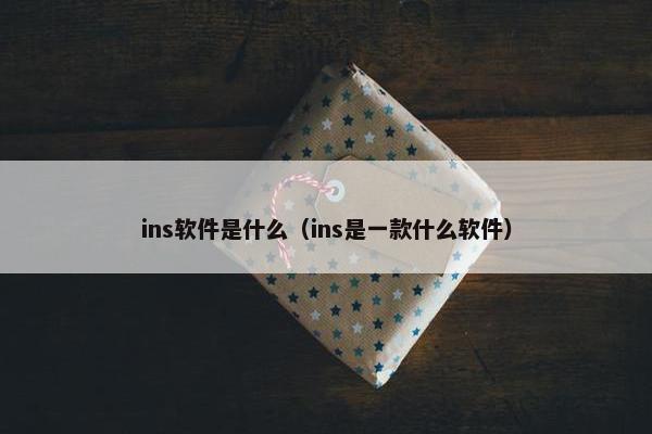 ins软件是什么（ins是一款什么软件）