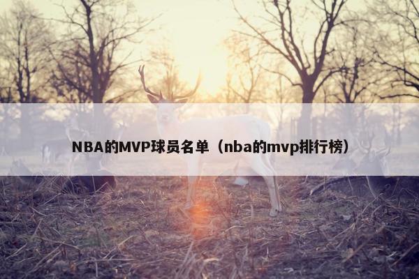 NBA的MVP球员名单（nba的mvp排行榜）