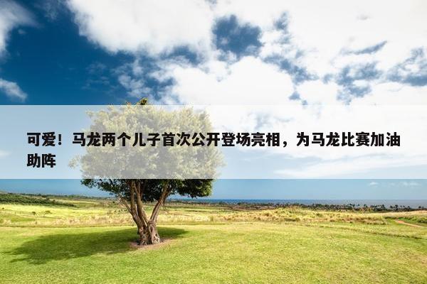 可爱！马龙两个儿子首次公开登场亮相，为马龙比赛加油助阵