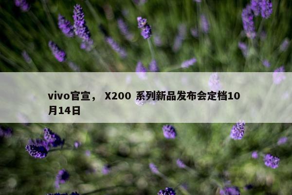 vivo官宣， X200 系列新品发布会定档10 月14日