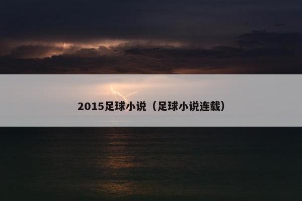 2015足球小说（足球小说连载）