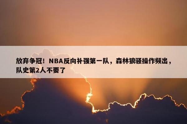 放弃争冠！NBA反向补强第一队，森林狼骚操作频出，队史第2人不要了