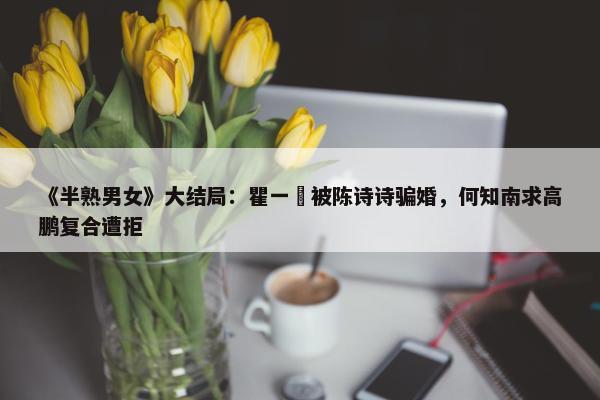 《半熟男女》大结局：瞿一芃被陈诗诗骗婚，何知南求高鹏复合遭拒