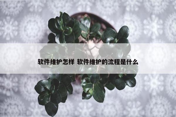 软件维护怎样 软件维护的流程是什么