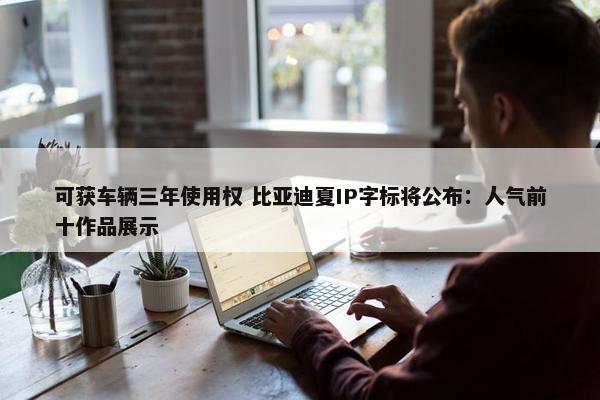 可获车辆三年使用权 比亚迪夏IP字标将公布：人气前十作品展示