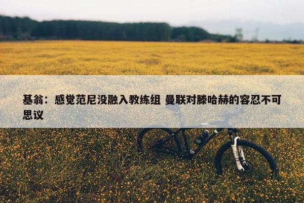 基翁：感觉范尼没融入教练组 曼联对滕哈赫的容忍不可思议