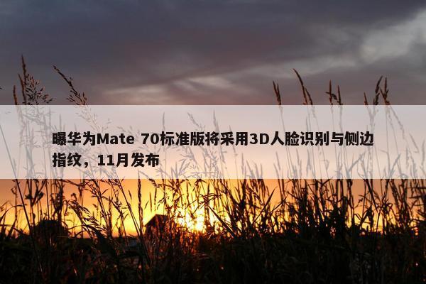 曝华为Mate 70标准版将采用3D人脸识别与侧边指纹，11月发布