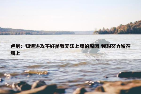 卢尼：知道进攻不好是我无法上场的原因 我想努力留在场上