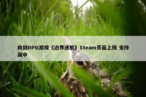 肉鸽RPG游戏《边界迷航》Steam页面上线 支持简中